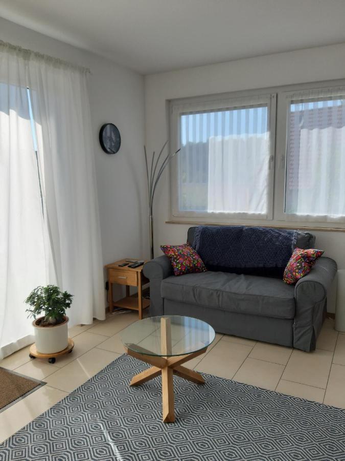 Ferienwohnung Wuerzburg Bagian luar foto